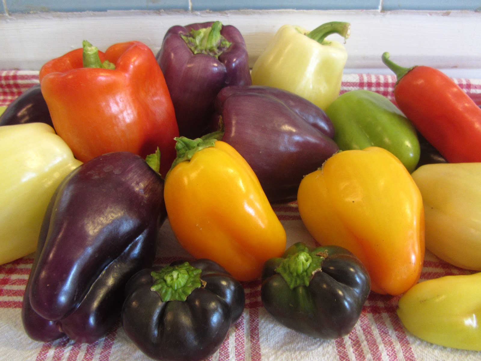 Quiltedtime Autumn Pepper Harvest